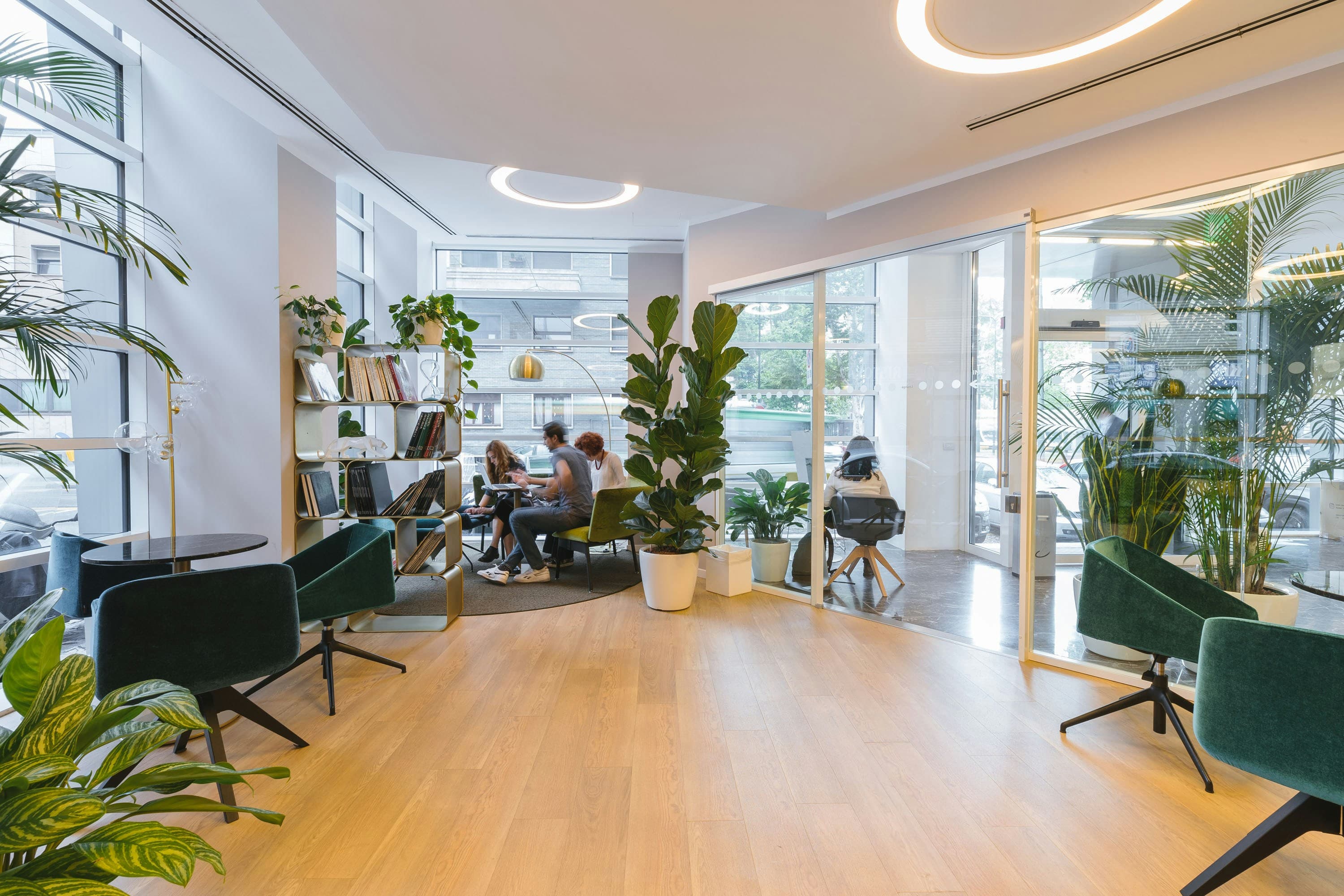 Professional Office